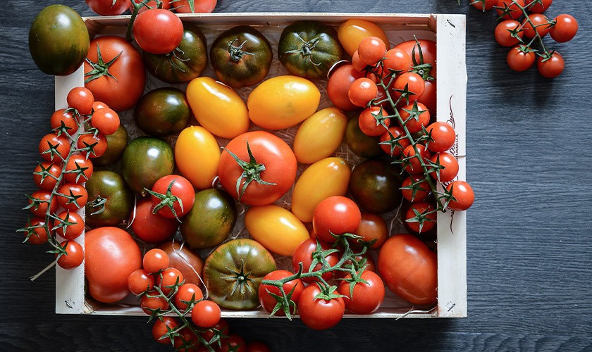 bistrot-villedieu-tomates