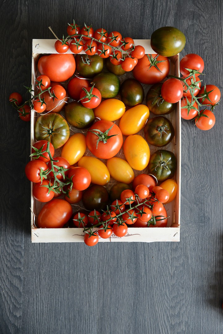 TOMATES de Provence - toutes couleurs et saveurs